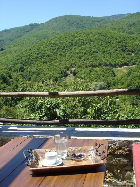 Villa Vadola Arkochorion 외부 사진